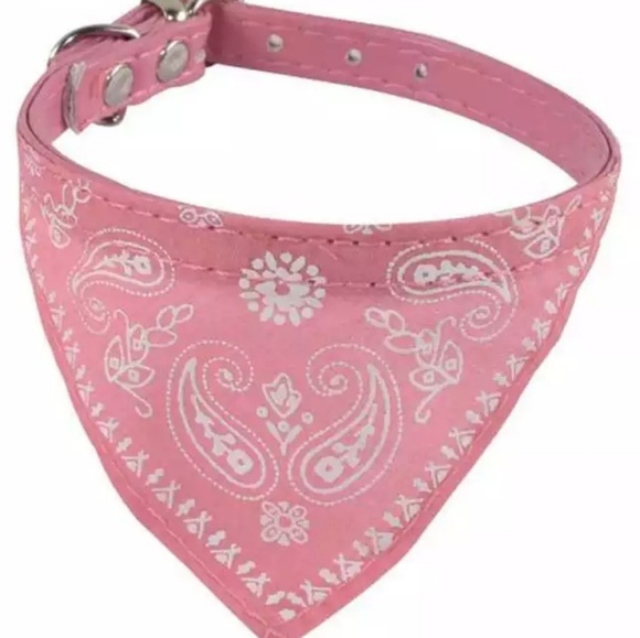 Small Bandana Collar - Picture 2 of 8